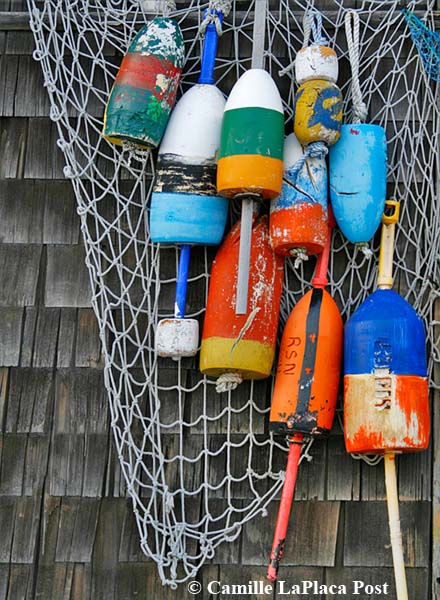 Rockport Field Trip 9530 